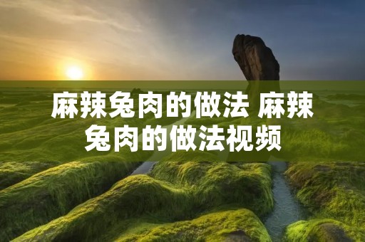 麻辣兔肉的做法 麻辣兔肉的做法视频