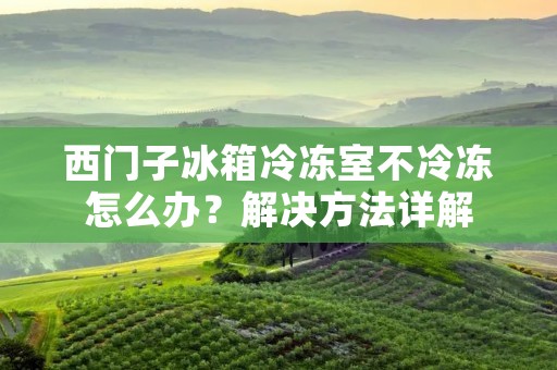西门子冰箱冷冻室不冷冻怎么办？解决方法详解