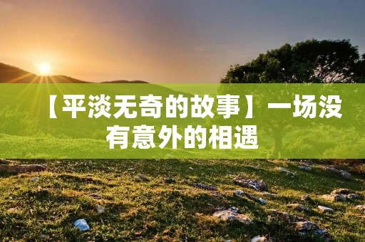 【平淡无奇的故事】一场没有意外的相遇