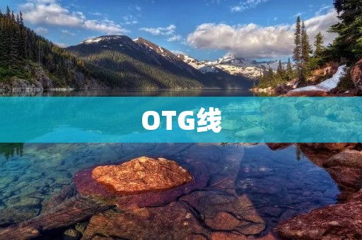 OTG线:打破设备连接限制的利器 OTG线:打破设备连接限制的利器