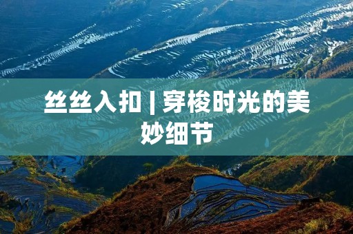 丝丝入扣 | 穿梭时光的美妙细节