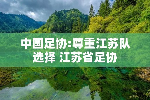 中国足协:尊重江苏队选择 江苏省足协