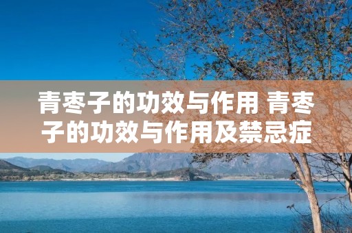 青枣子的功效与作用 青枣子的功效与作用及禁忌症