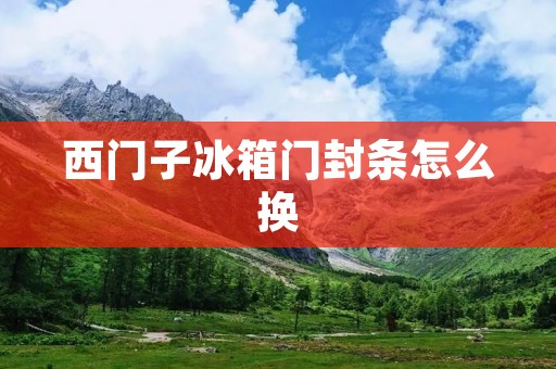 西门子冰箱门封条怎么换：详细步骤及注意事项