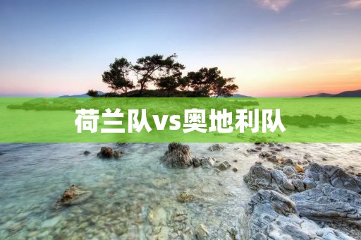 荷兰队vs奥地利队：欧洲杯小组赛对决