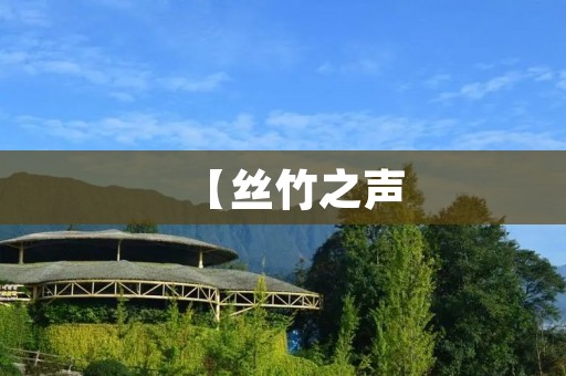 【丝竹之声：传统音乐的魅力与传承】