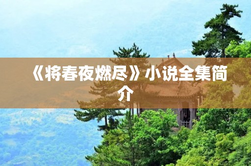 《将春夜燃尽》小说全集简介