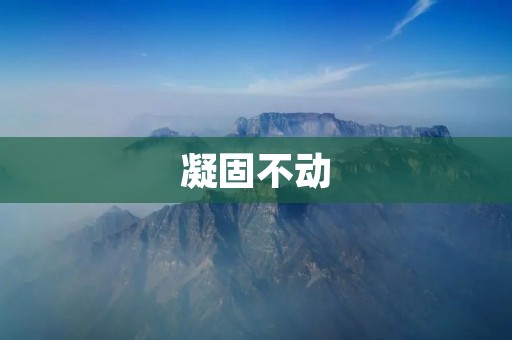 凝固不动:探索静态的美与意义