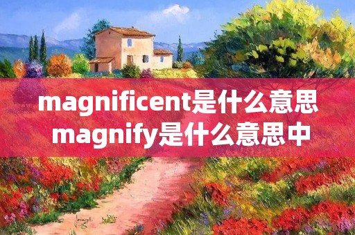 magnificent是什么意思 magnify是什么意思中文翻译