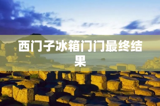 西门子冰箱门门最终结果：一场智能科技与优质制造的完美结合