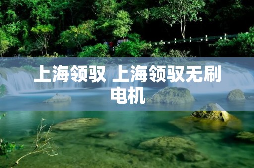 上海领驭 上海领驭无刷电机