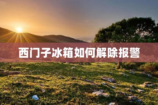 西门子冰箱如何解除报警