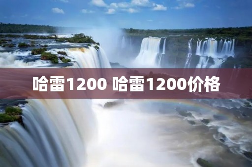 哈雷1200 哈雷1200价格 哈雷1200 哈雷1200价格