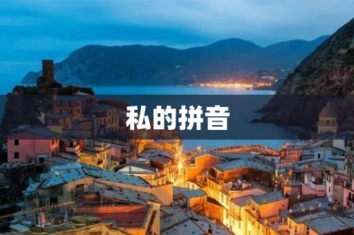 私的拼音：揭秘私有化在中国的发展与影响