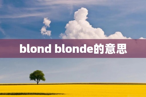 blond blonde的意思