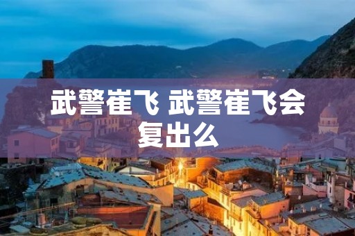 武警崔飞 武警崔飞会复出么