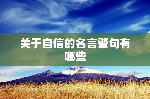 关于自信的名言警句有哪些