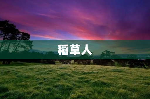 稻草人:农田守护者 稻草人:农田守护者