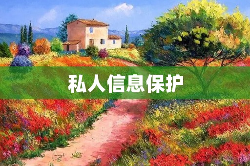私人信息保护：如何保护个人隐私安全