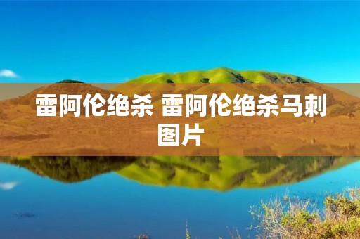雷阿伦绝杀 雷阿伦绝杀马刺图片