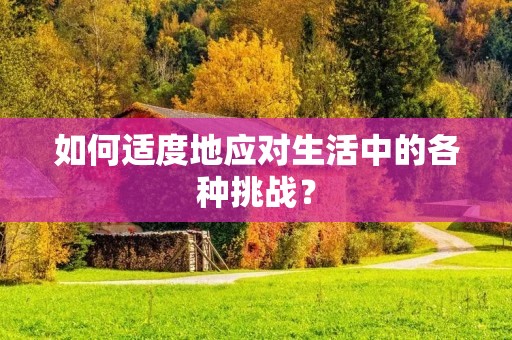 如何适度地应对生活中的各种挑战？