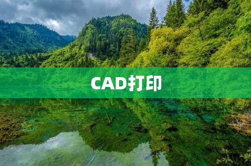 CAD打印:解析数字化制造时代的未来趋势 CAD打印:解析数字化制造时代的未来趋势