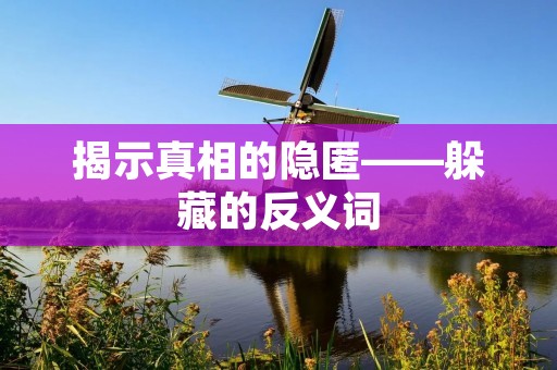揭示真相的隐匿——躲藏的反义词