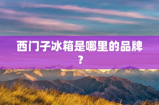 西门子冰箱是哪里的品牌? 西门子冰箱是哪里的品牌?