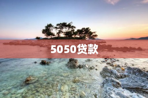 5050贷款:解析新兴的借贷方式 5050贷款:解析新兴的借贷方式