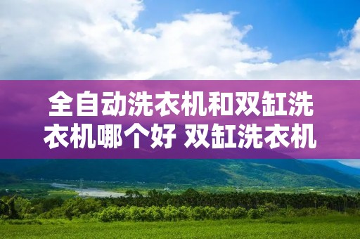 全自动洗衣机和双缸洗衣机哪个好 双缸洗衣机是半自动的吗 全自动洗衣机和双缸洗衣机哪个好 双缸洗衣机是半自动的吗