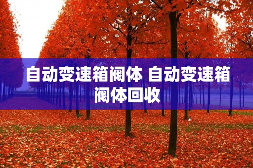 自动变速箱阀体 自动变速箱阀体回收 自动变速箱阀体 自动变速箱阀体回收