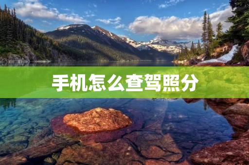手机怎么查驾照分：详细指南