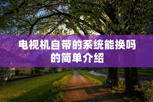 电视机自带的系统能换吗的简单介绍