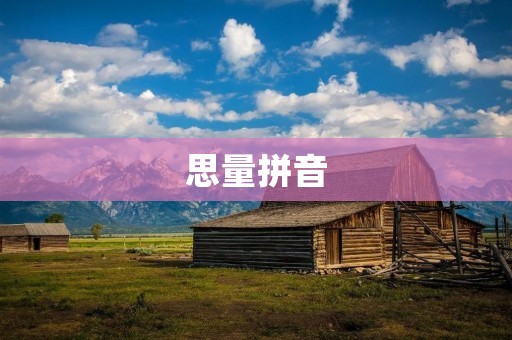 思量拼音：打开中文输入法的新视野