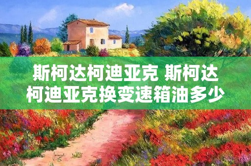 斯柯达柯迪亚克 斯柯达柯迪亚克换变速箱油多少钱 斯柯达柯迪亚克 斯柯达柯迪亚克换变速箱油多少钱