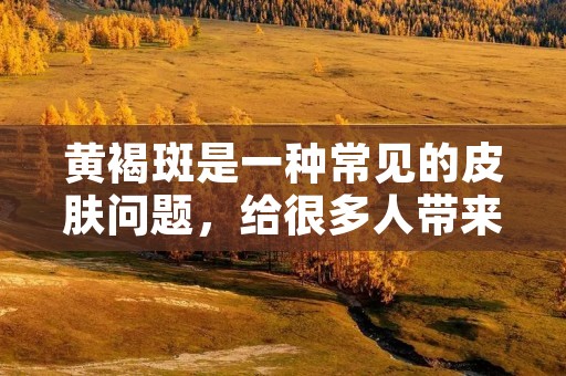 黄褐斑是一种常见的皮肤问题，给很多人带来了困扰。很多人都想知道怎样去掉黄褐斑，下面就为大家介绍一些有效的方法。