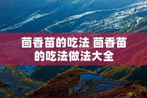 茴香苗的吃法 茴香苗的吃法做法大全