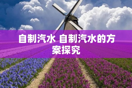 自制汽水 自制汽水的方案探究