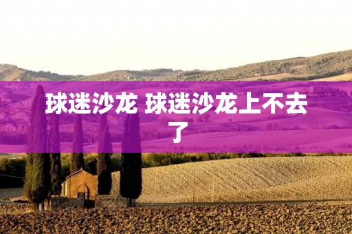 球迷沙龙 球迷沙龙上不去了