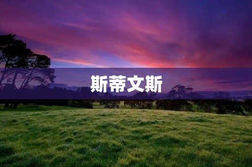 斯蒂文斯：探索创新科技的引领者