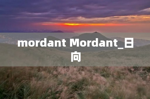mordant Mordant_日向