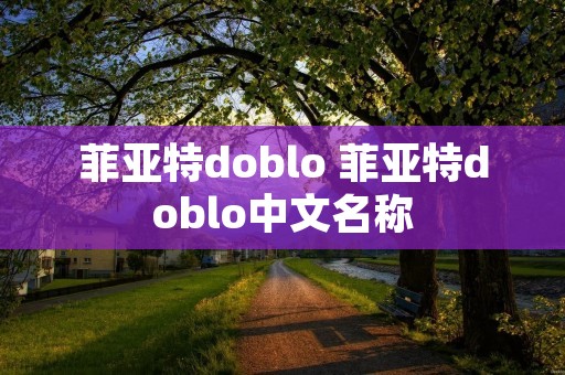 菲亚特doblo 菲亚特doblo中文名称