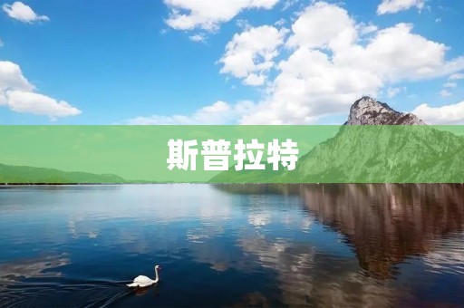 斯普拉特：探索无尽创意的艺术殿堂