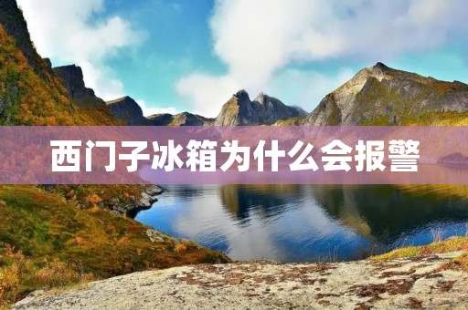 西门子冰箱为什么会报警