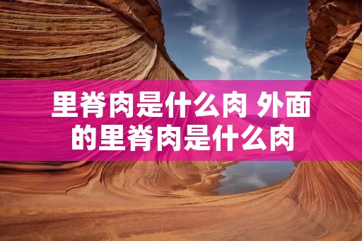 里脊肉是什么肉 外面的里脊肉是什么肉