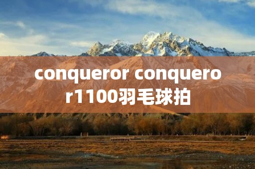 conqueror conqueror1100羽毛球拍