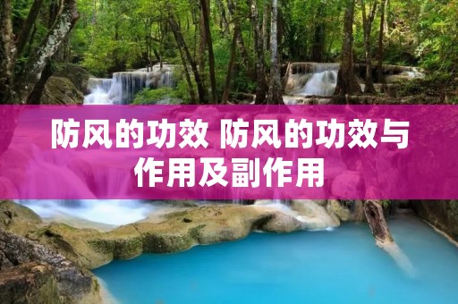 防风的功效 防风的功效与作用及副作用