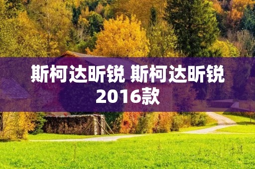 斯柯达昕锐 斯柯达昕锐2016款 斯柯达昕锐 斯柯达昕锐2016款