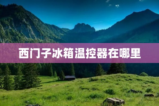 西门子冰箱温控器在哪里