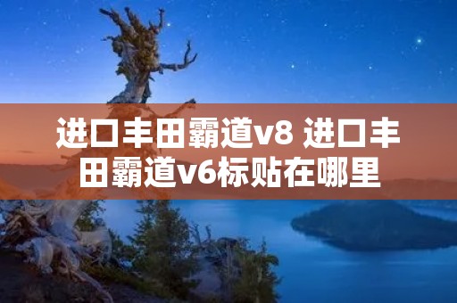 进口丰田霸道v8 进口丰田霸道v6标贴在哪里 进口丰田霸道v8 进口丰田霸道v6标贴在哪里